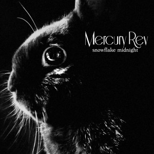 收聽Mercury Rev的A Squirrel And I (Holding On... And Then Letting Go)歌詞歌曲