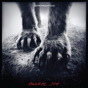 ดาวน์โหลดและฟังเพลง Animal Life พร้อมเนื้อเพลงจาก Shearwater
