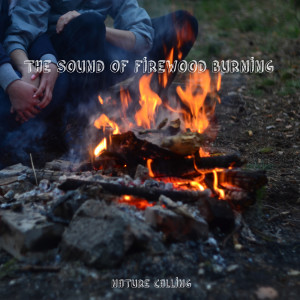 Listen to 장작타는 소리 The Sound of Firewood Burning song with lyrics from 네이쳐콜링