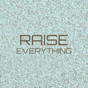 Various Artists的專輯Raise Everything