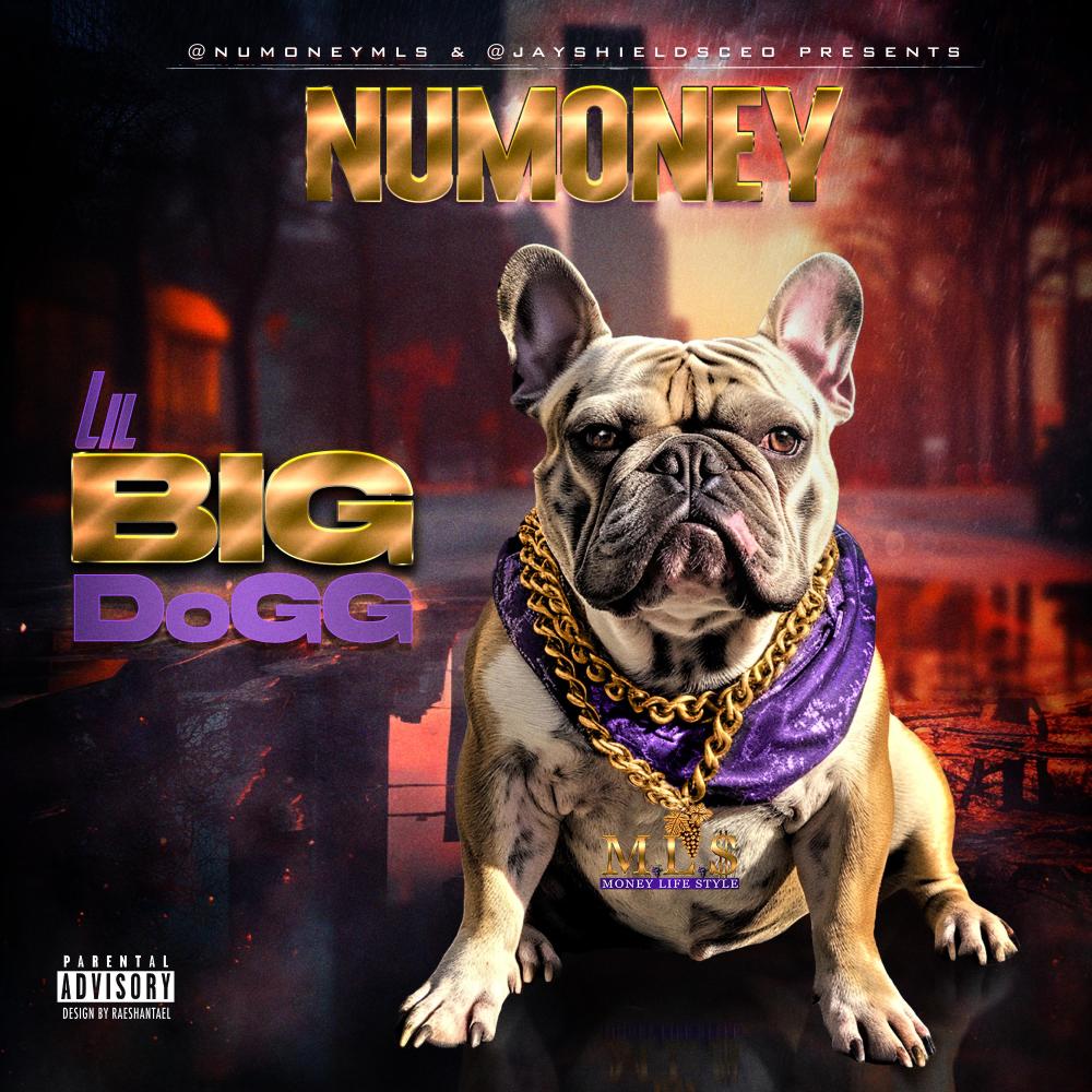 Letter to Snoop (Explicit)