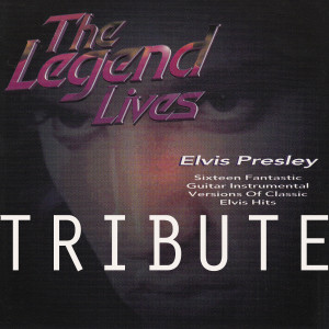 ดาวน์โหลดและฟังเพลง Always on My Mind (Instrumental) พร้อมเนื้อเพลงจาก Willie Logan
