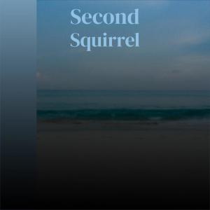 Album Second Squirrel from Various