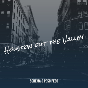 Album Houston out the Valley (Explicit) from Schema
