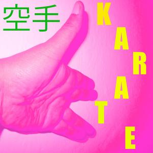 Listen to Musica per il Karate Vol. 12 song with lyrics from Kendo