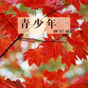 收聽劉紀成的青少年 (Single Version)歌詞歌曲