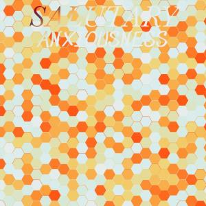 ดาวน์โหลดและฟังเพลง Salutary Anxiousness พร้อมเนื้อเพลงจาก Jaed Anwer