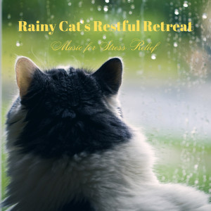 Rainfall Sound for Sleep的專輯Rainy Cat's Restful Retreat: Music for Stress Relief