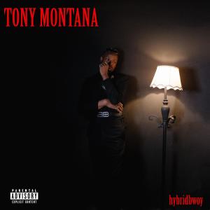 Hybridbwoy的專輯Tony Montana (Explicit)