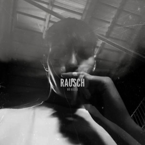 Album Rausch (Explicit) from 