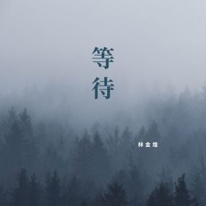 Album 等待 from 林金煌
