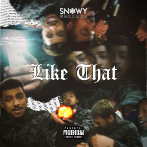 Listen to Like That (Explicit) song with lyrics from Snowy Santana