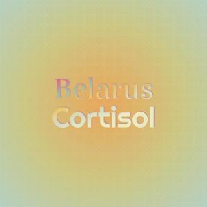 收聽Ladie Cenk的Belarus Cortisol歌詞歌曲