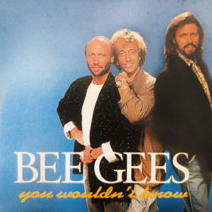 ดาวน์โหลดและฟังเพลง Haw Love Was Tru พร้อมเนื้อเพลงจาก Bee Gees