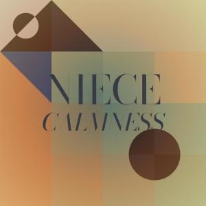 Listen to Niece Calmness song with lyrics from Neson Gerley
