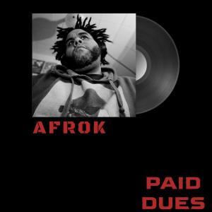 Afrok的專輯Paid Dues