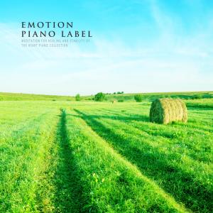 Meditation For Healing And Stability Of The Heart Piano Collection