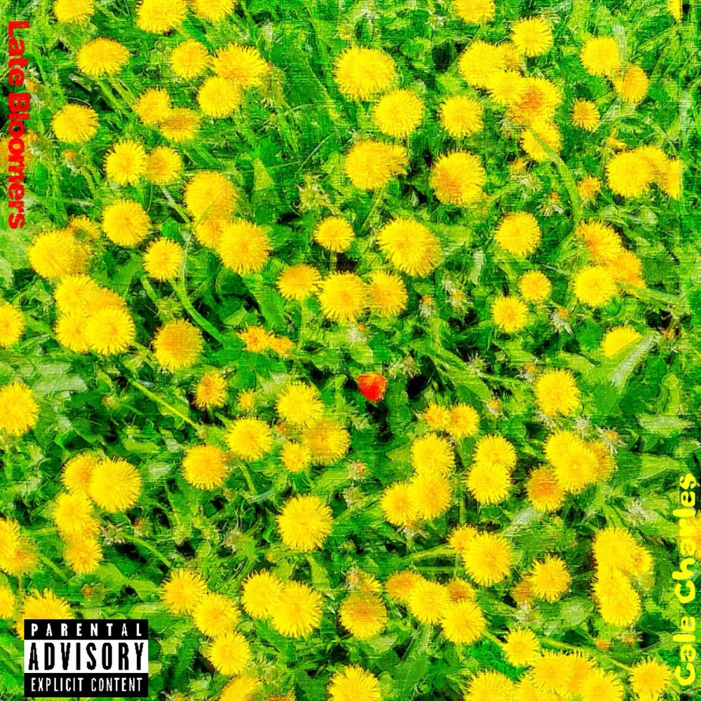 Drip (Explicit)