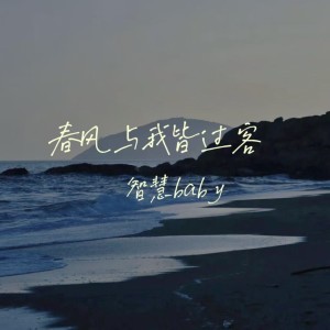 Album 春风与我皆过客 from 智慧baby