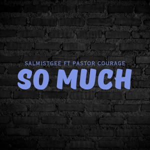 Album So Much from SalmistGee