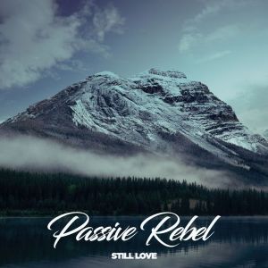 Listen to Still Love song with lyrics from Passive Rebel