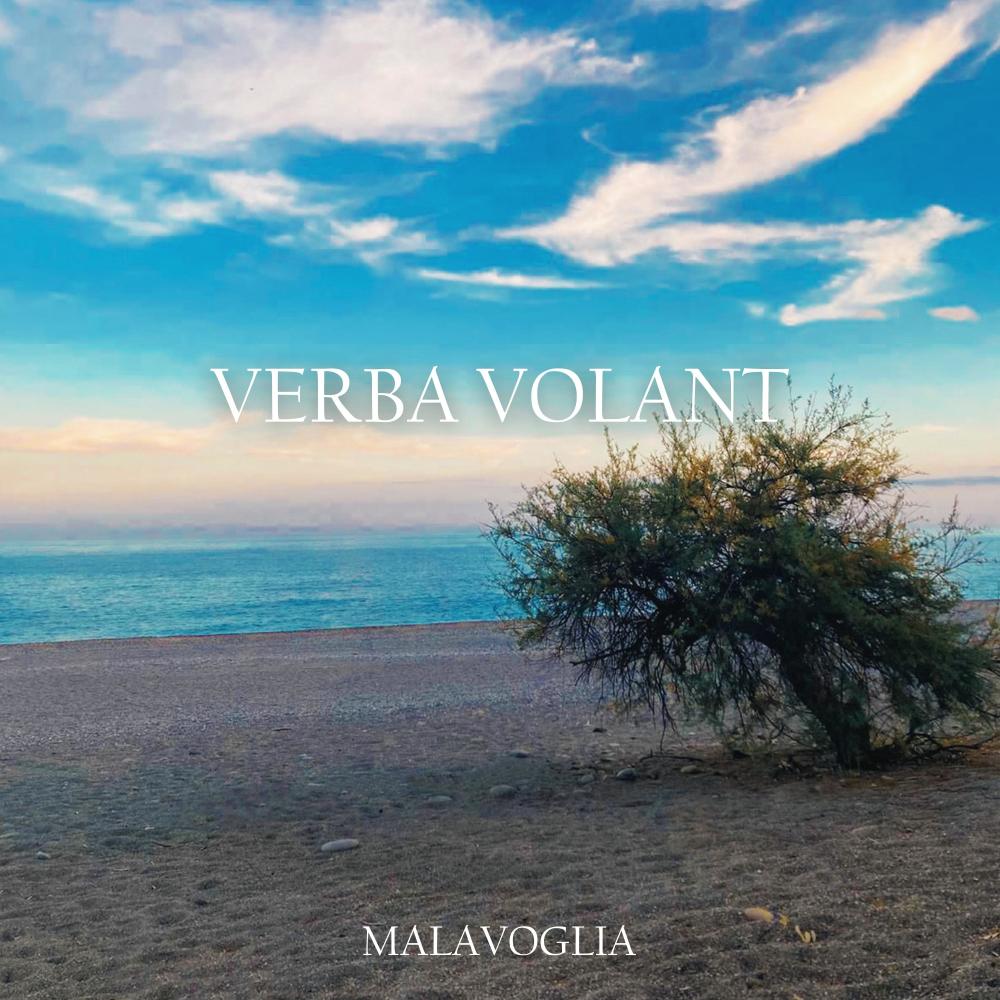 VERBA VOLANT