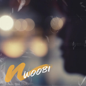 Listen to 오직 두 사람 (feat. 김형중) (just the two of us) song with lyrics from Woobi