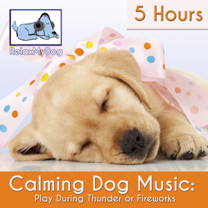 收聽Relaxmydog的Keeping up With the Pomeranians歌詞歌曲