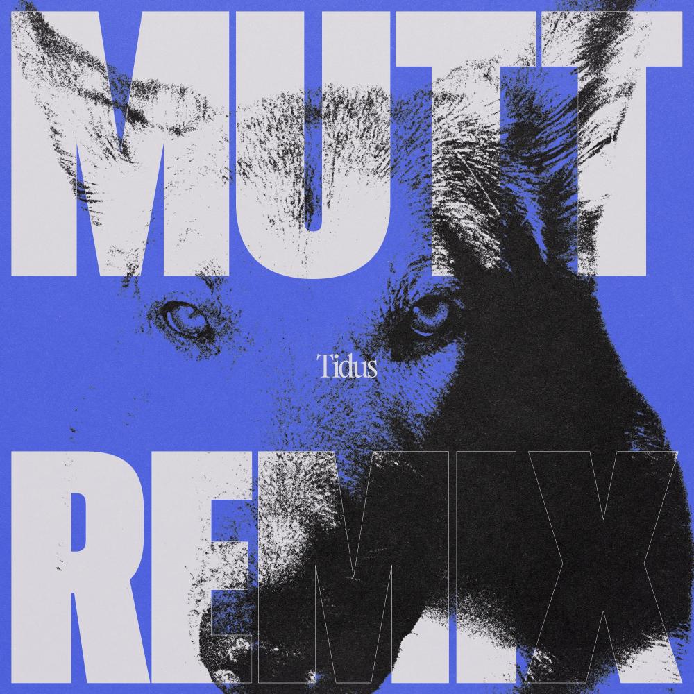 I'm a dog I'm a mutt (Tidus Remix)