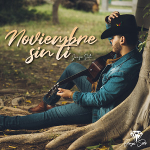 ดาวน์โหลดและฟังเพลง Noviembre Sin Ti พร้อมเนื้อเพลงจาก Jorge Soto