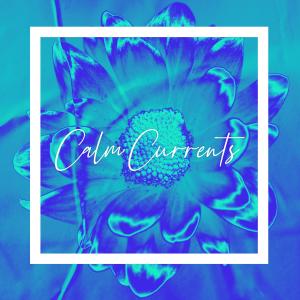 收聽Floating Animal的Calm Currents歌詞歌曲