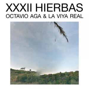 收聽La Viya Real的XXXII Hierbas(with Octavio Aga)歌詞歌曲