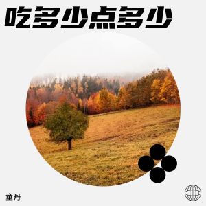 Listen to 吃多少点多少 (伴奏) song with lyrics from 童丹