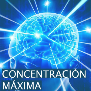 Album Concentracion Maxima oleh Concentracion
