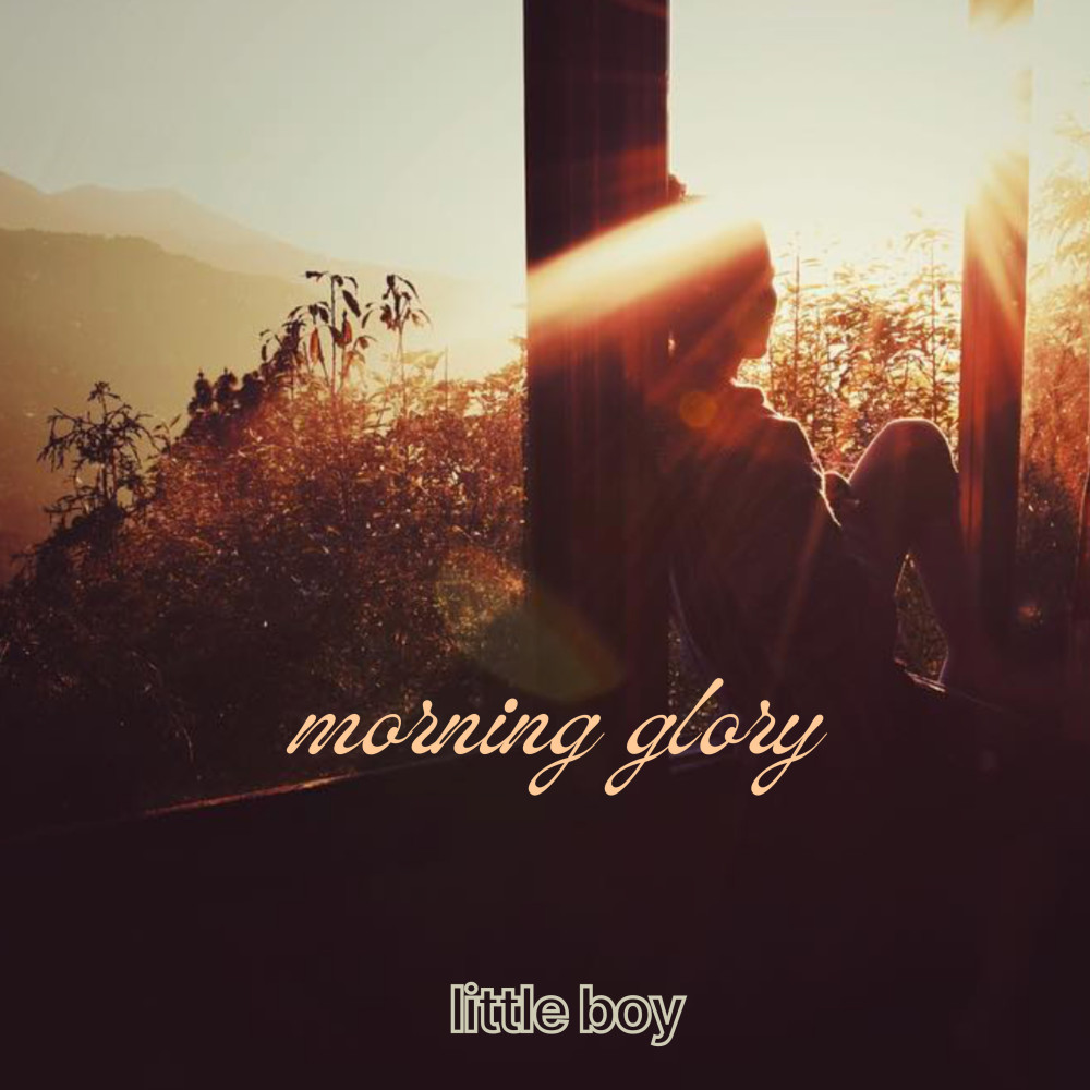 Morning Glory