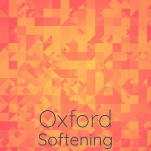 Listen to Oxford Softening song with lyrics from Alin Bumer