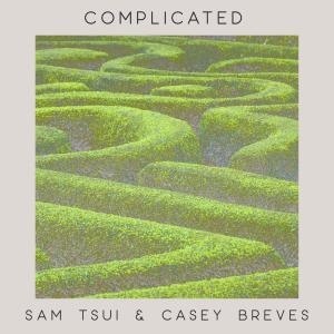 Sam Tsui的專輯Complicated (acoustic duet version)