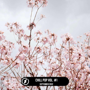 อัลบัม Chill Pop, Vol.1 ศิลปิน Various
