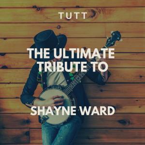 Listen to No Promises(Originally Performed By Shayne Ward) song with lyrics from Tutt