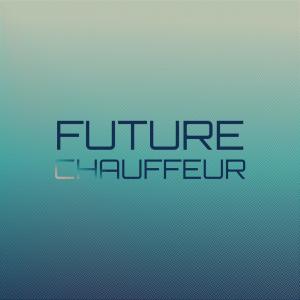 Album Future Chauffeur from Various