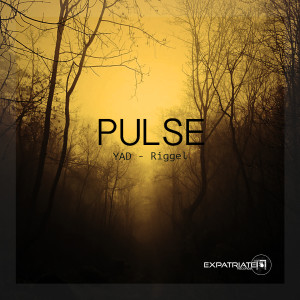 收聽Yad的Pulse (Niko Favata Fresh Mix)歌詞歌曲