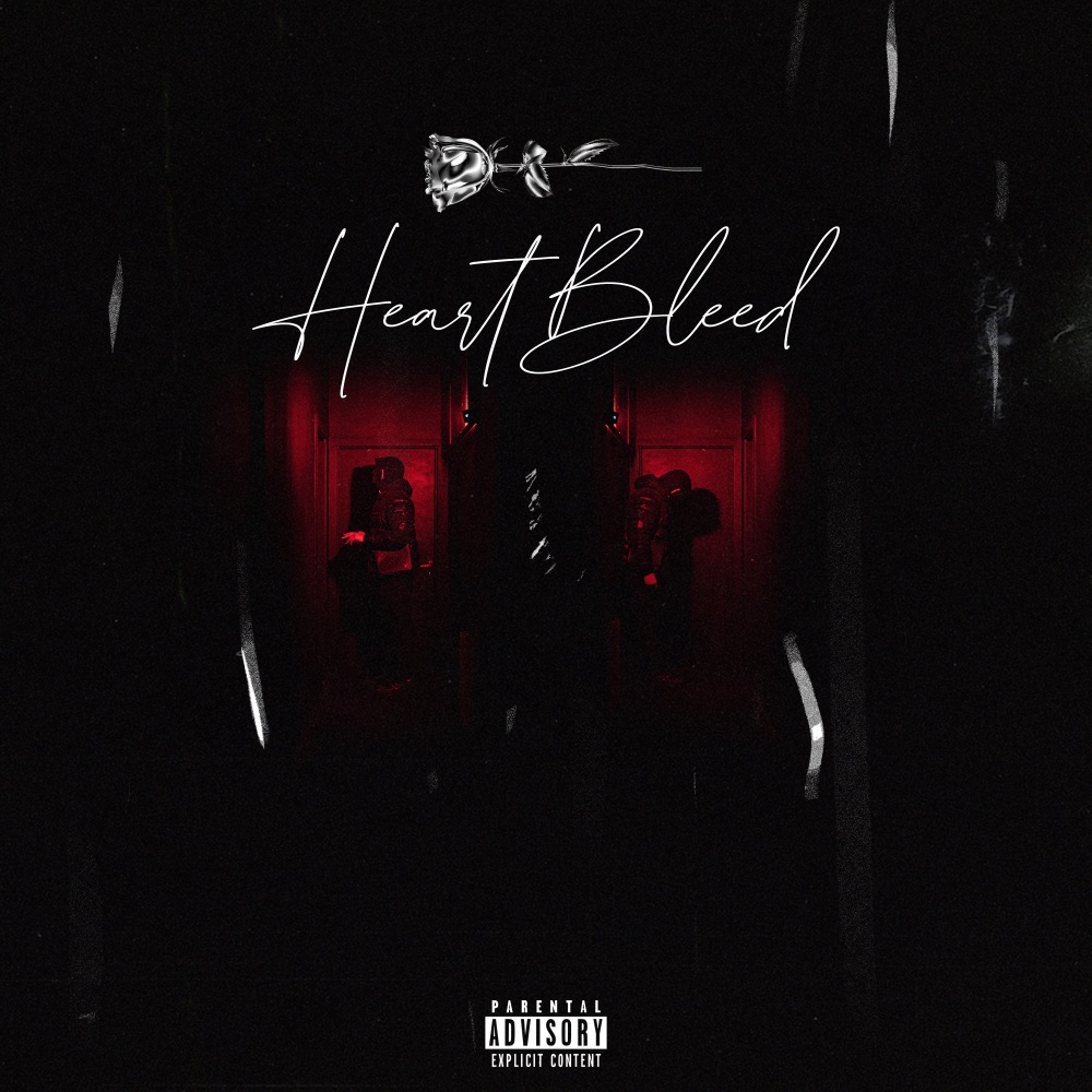 Heart Bleed (Explicit)