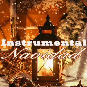 Canciones De Navidad的专辑Instrumental Navidad