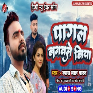 收聽Byas Lal Yadav的Pagal Banawle Biya歌詞歌曲