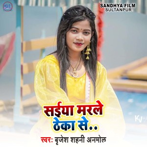Album Brijesh shahni anmol from 