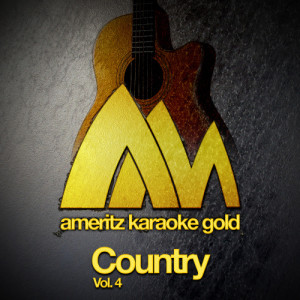 收聽Ameritz Audio Karaoke的Take Me Home, Country Roads (In the Style of John Denver) [Karaoke Version] (Karaoke Version)歌詞歌曲