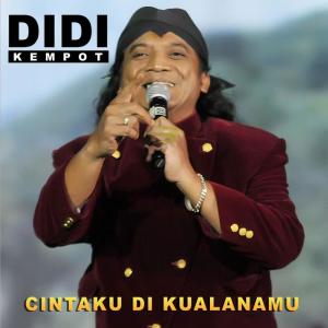 Dengarkan Cintaku Di Kualanamu lagu dari Didi Kempot dengan lirik