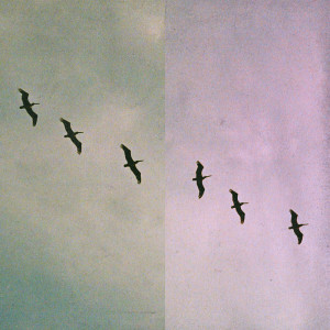 收聽Stapes的pelícano歌詞歌曲