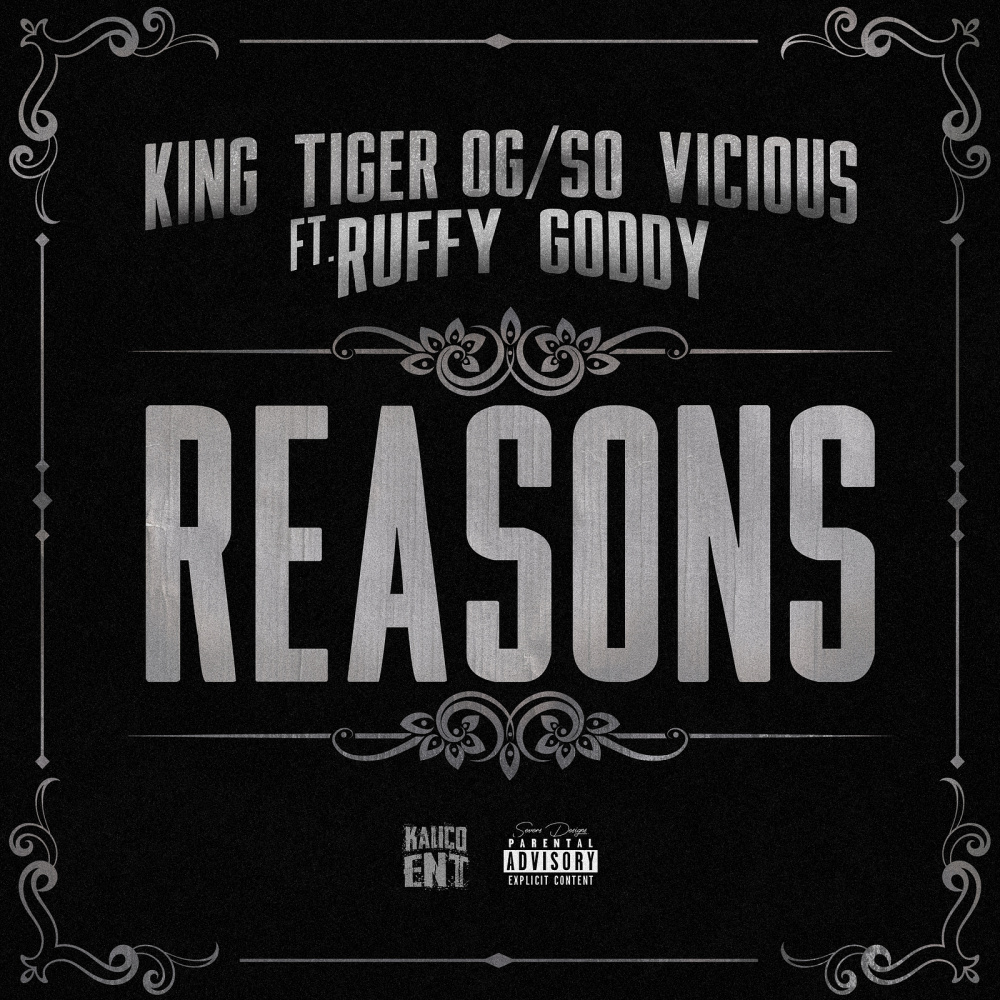 Reasons (Explicit)