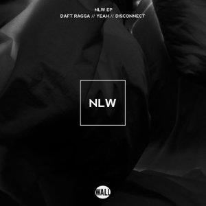 ดาวน์โหลดและฟังเพลง Disconnect (Original Mix) พร้อมเนื้อเพลงจาก NLW